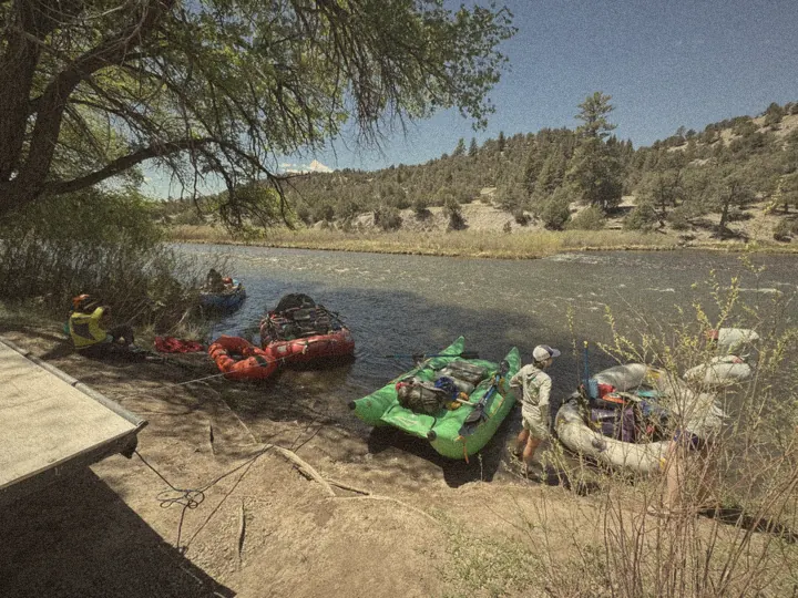Loaded rafts and a packraft tied up on a riverbank under a cottonwood tree